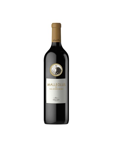 Malleolus de Valderramiro 2015